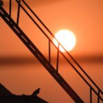 Best Practices - silhouette of bird on metal railings during sunset